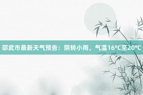 邵武市最新天气预告：阴转小雨，气温16℃至20℃